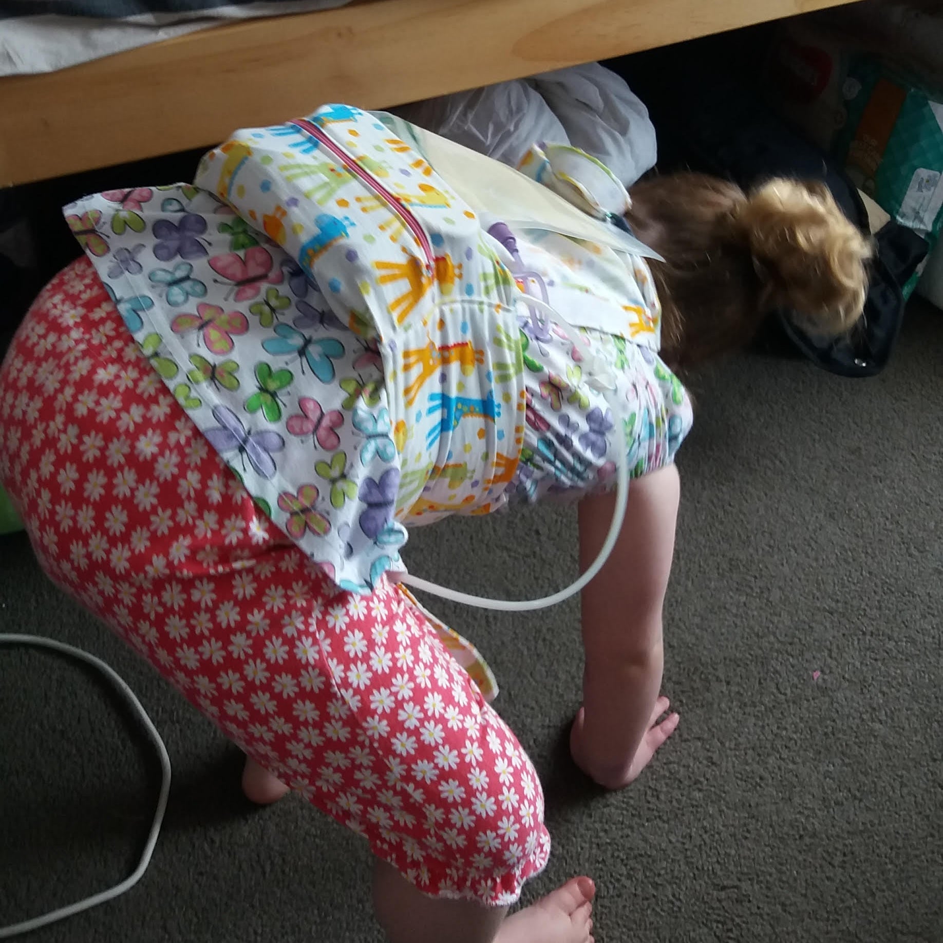 300ml Tube Feeding Pouches Kai Carrier x 3