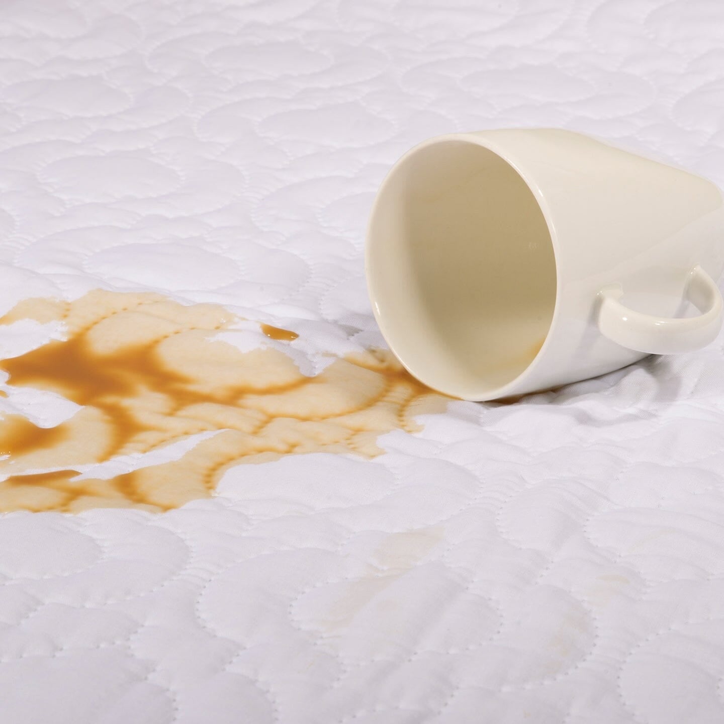 Mattress Protector Quilted - Brolly Sheets AU