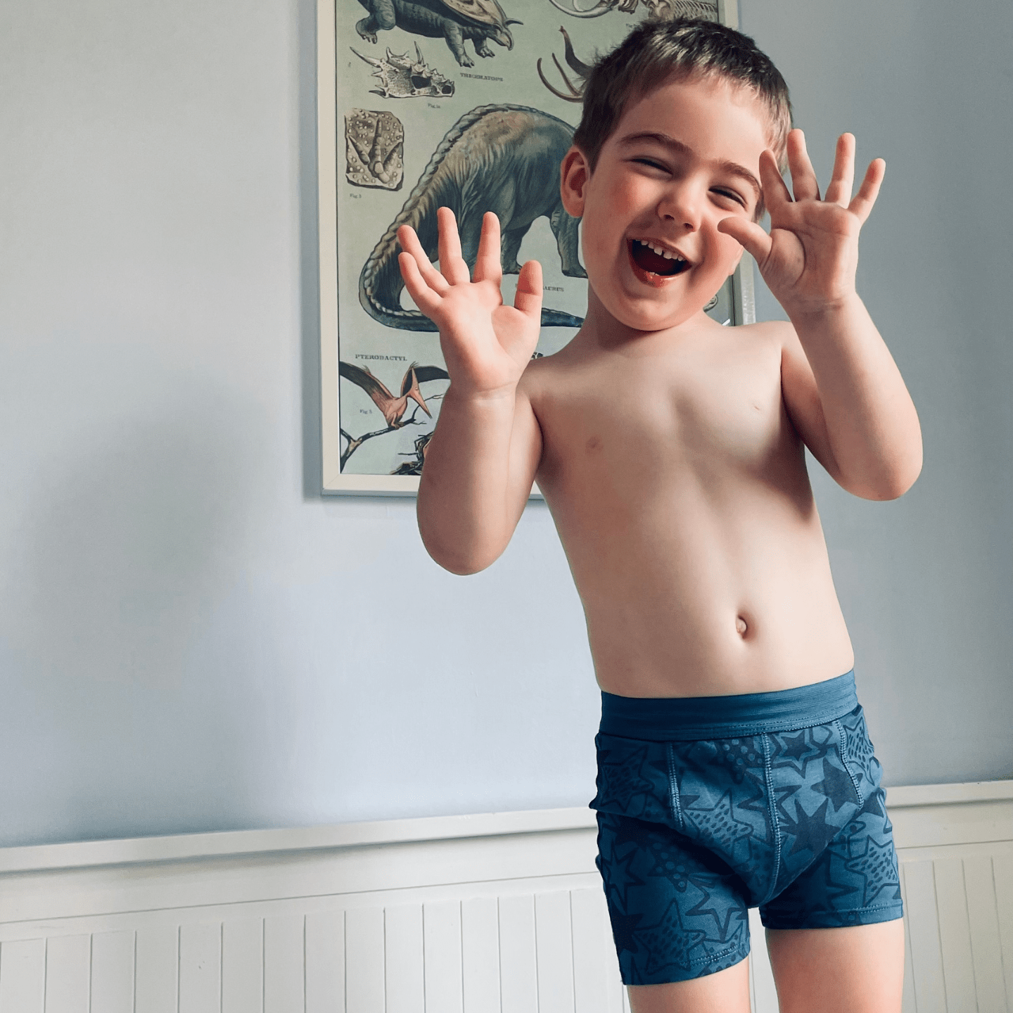 Snazzi Pants Night Trainers - Organic NEW - Brolly Sheets AU