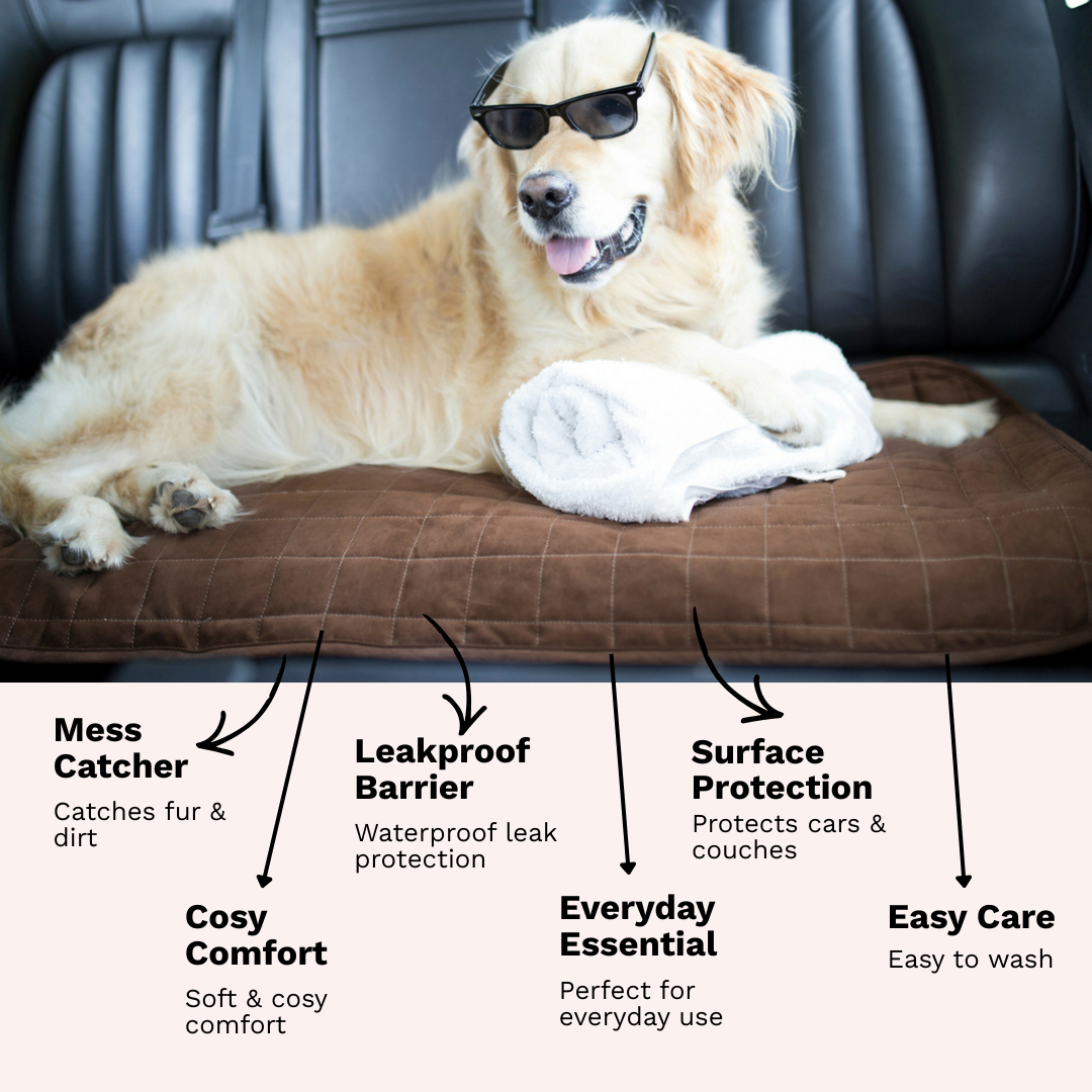 Car Seat or Couch Cover