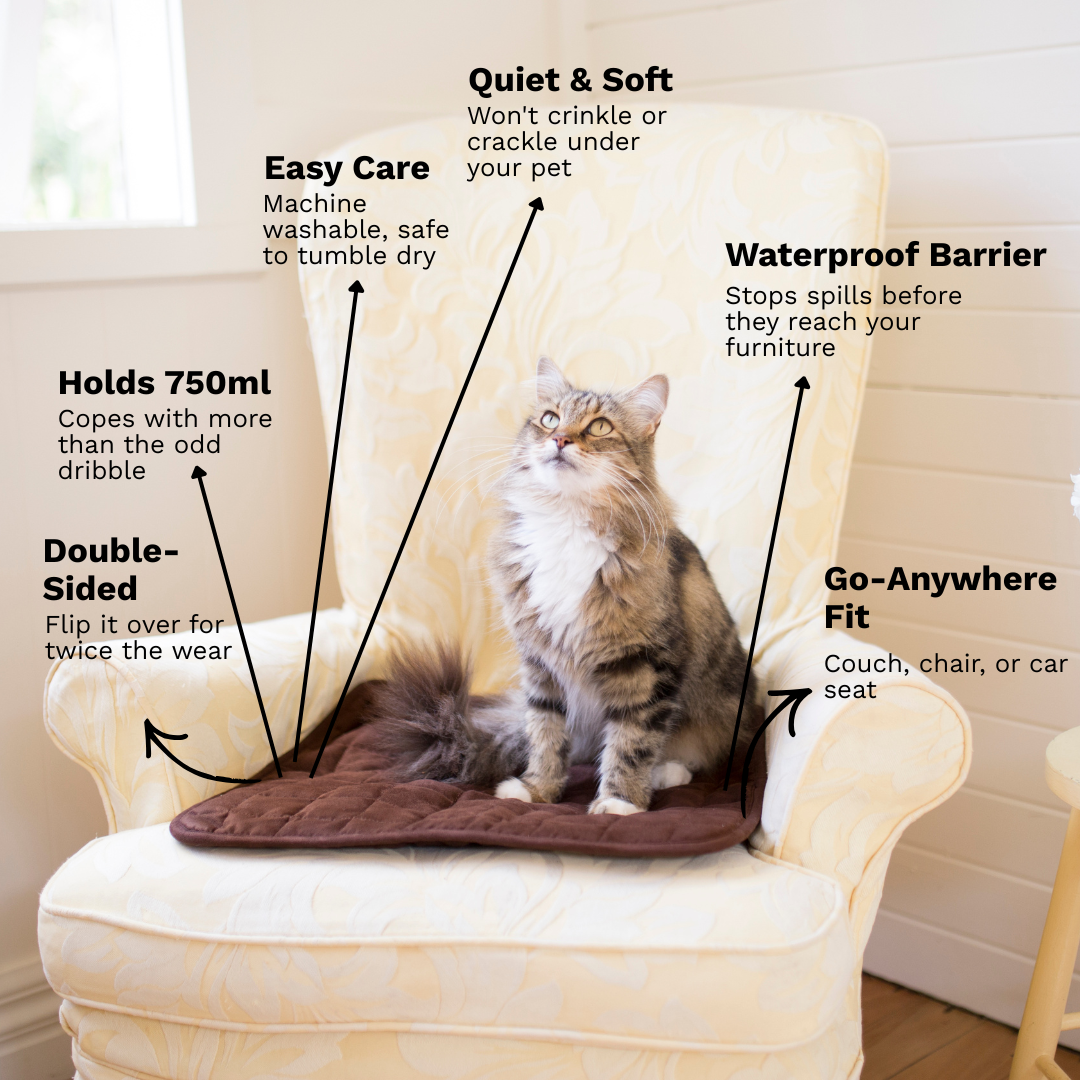 Pet Chair Pad