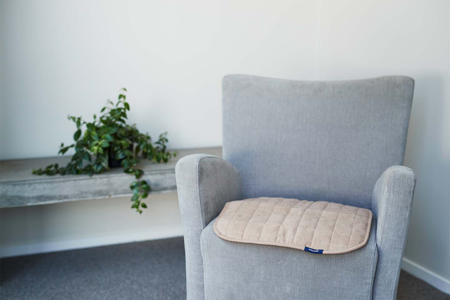 Greay chair with fawn colour chair pad