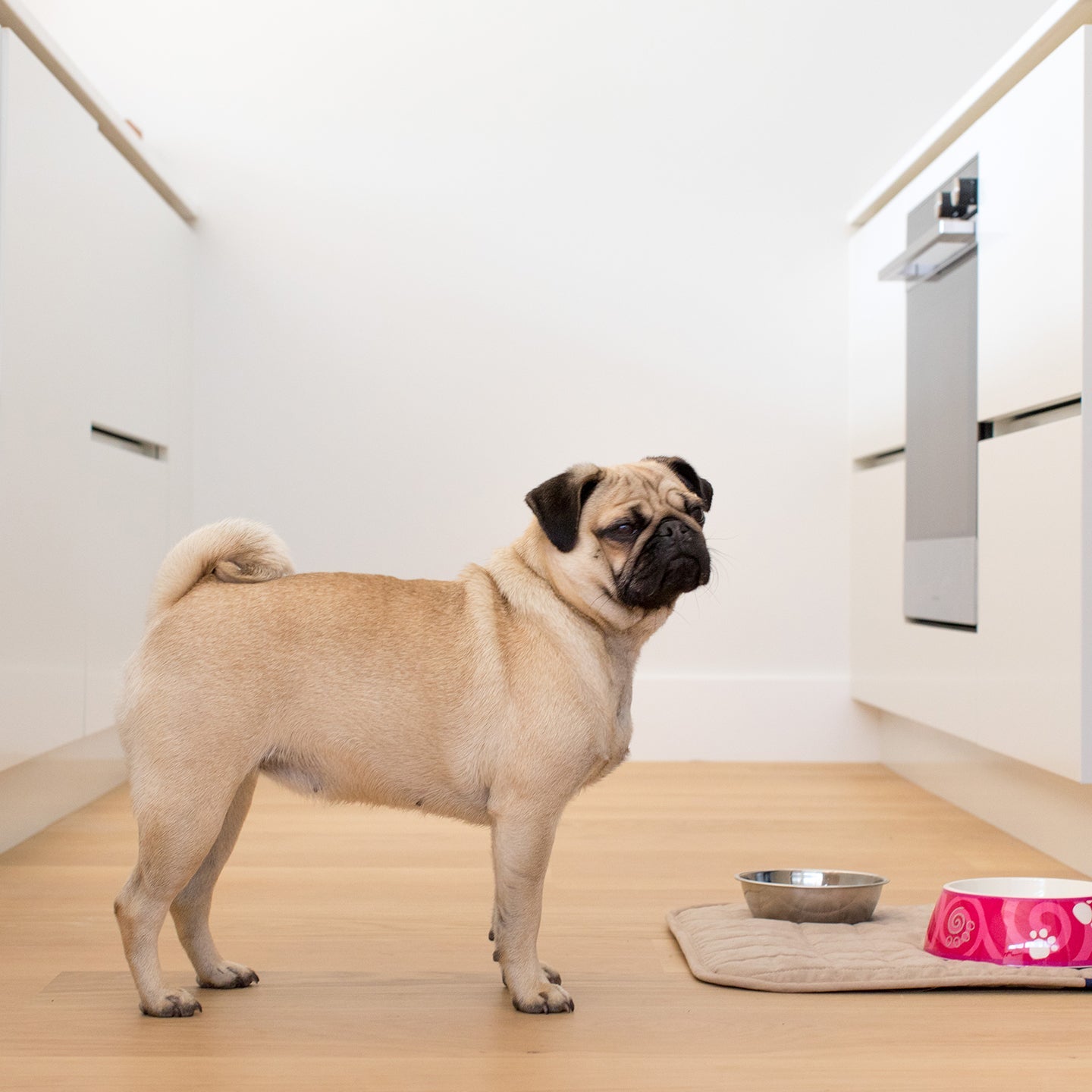 Pet Mat - Brolly Sheets AU - Beige