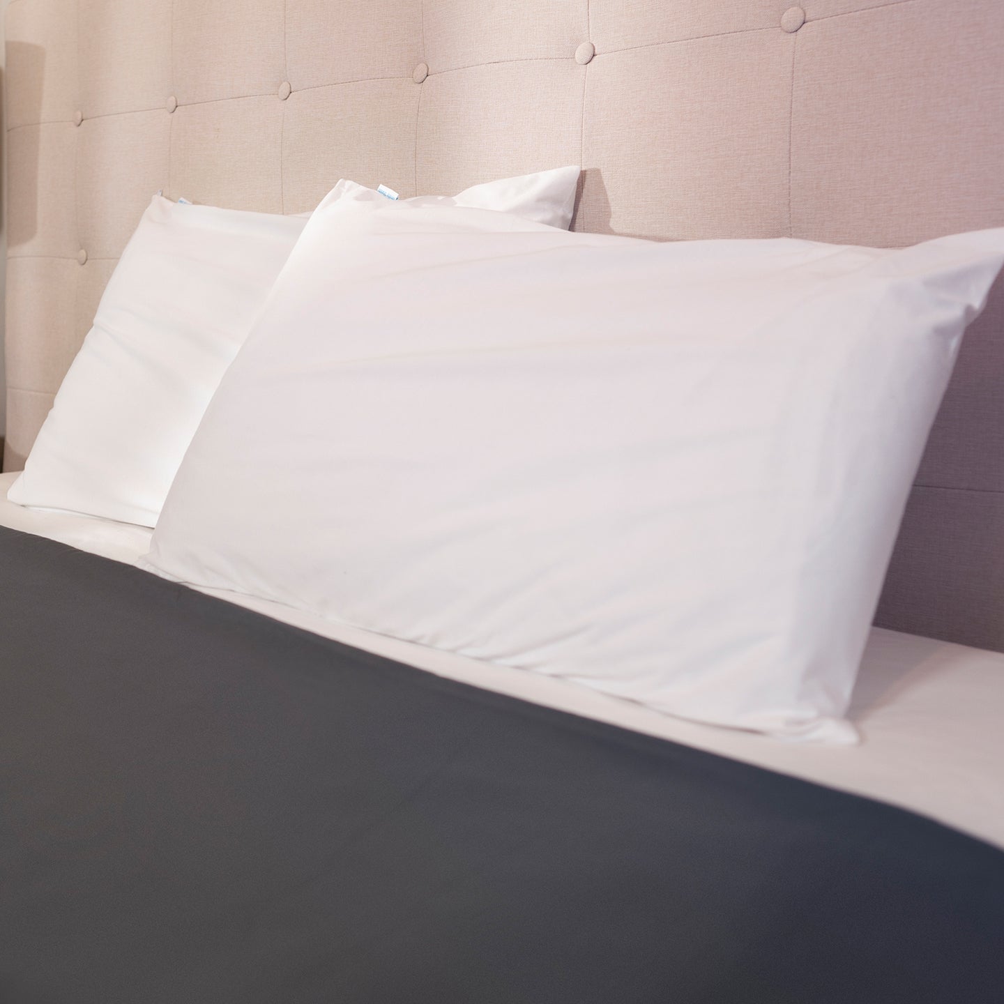 Pillow Protector Cotton - Brolly Sheets AU