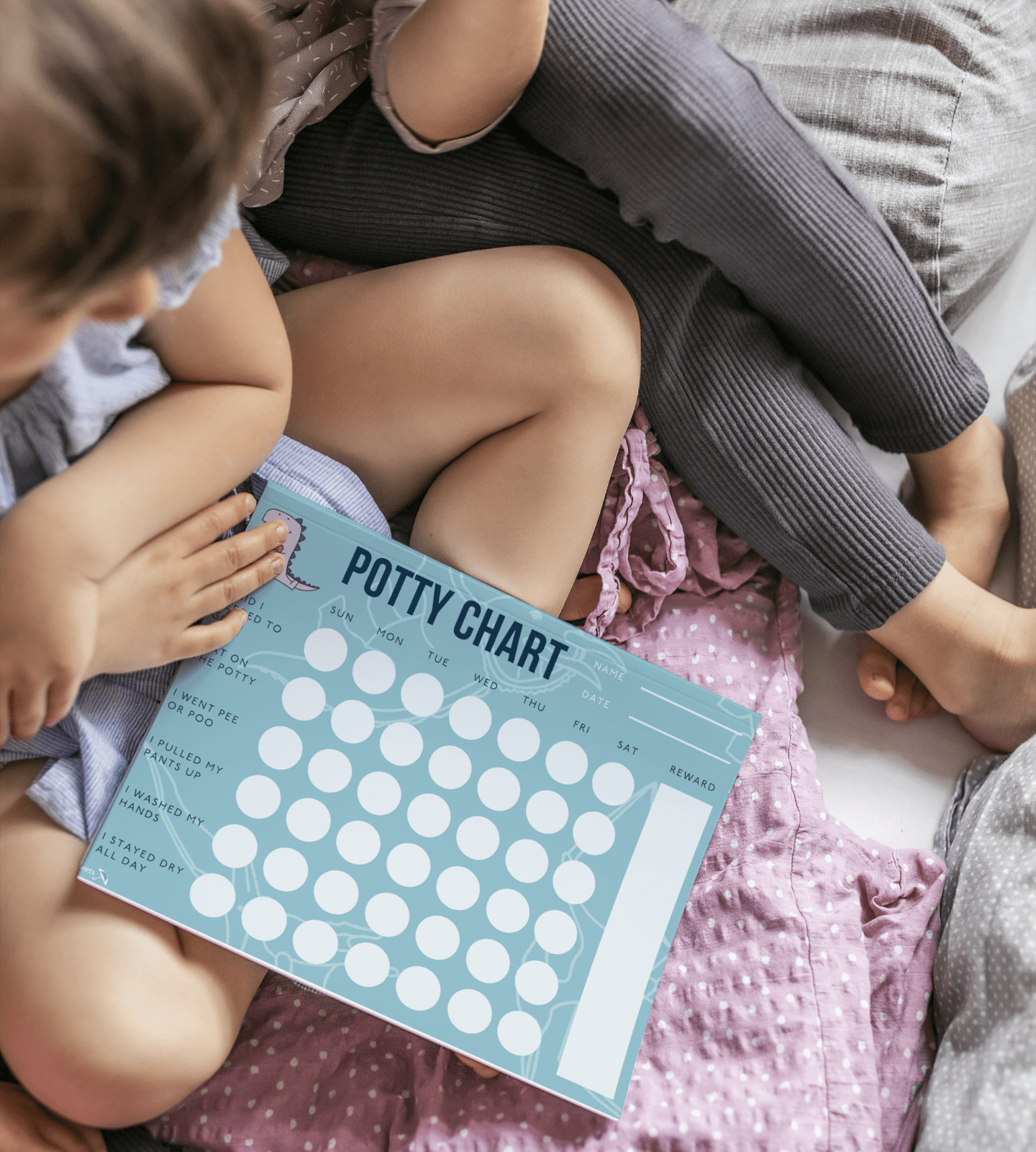 Potty Training Charts - Brolly Sheets AU