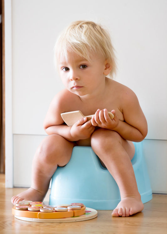 4 Potty Training Fears Toddlers Face
