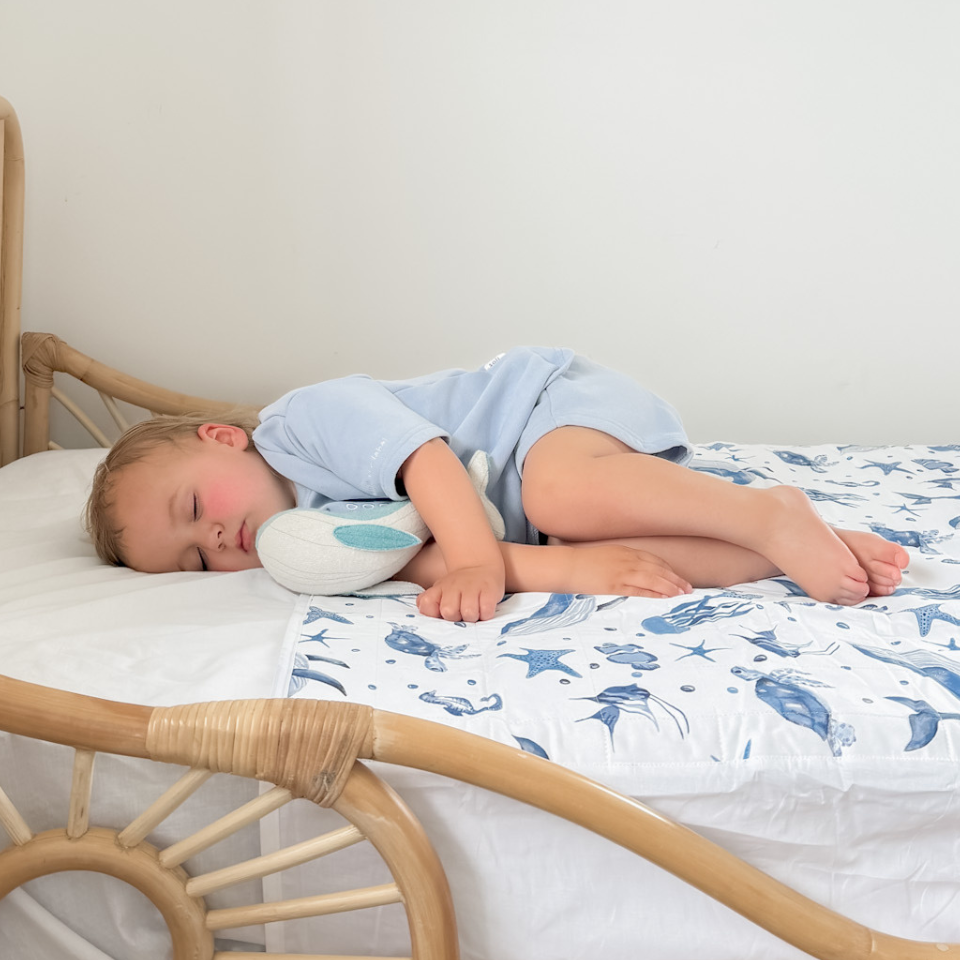 Brolly Sheets with Wings - Sea world