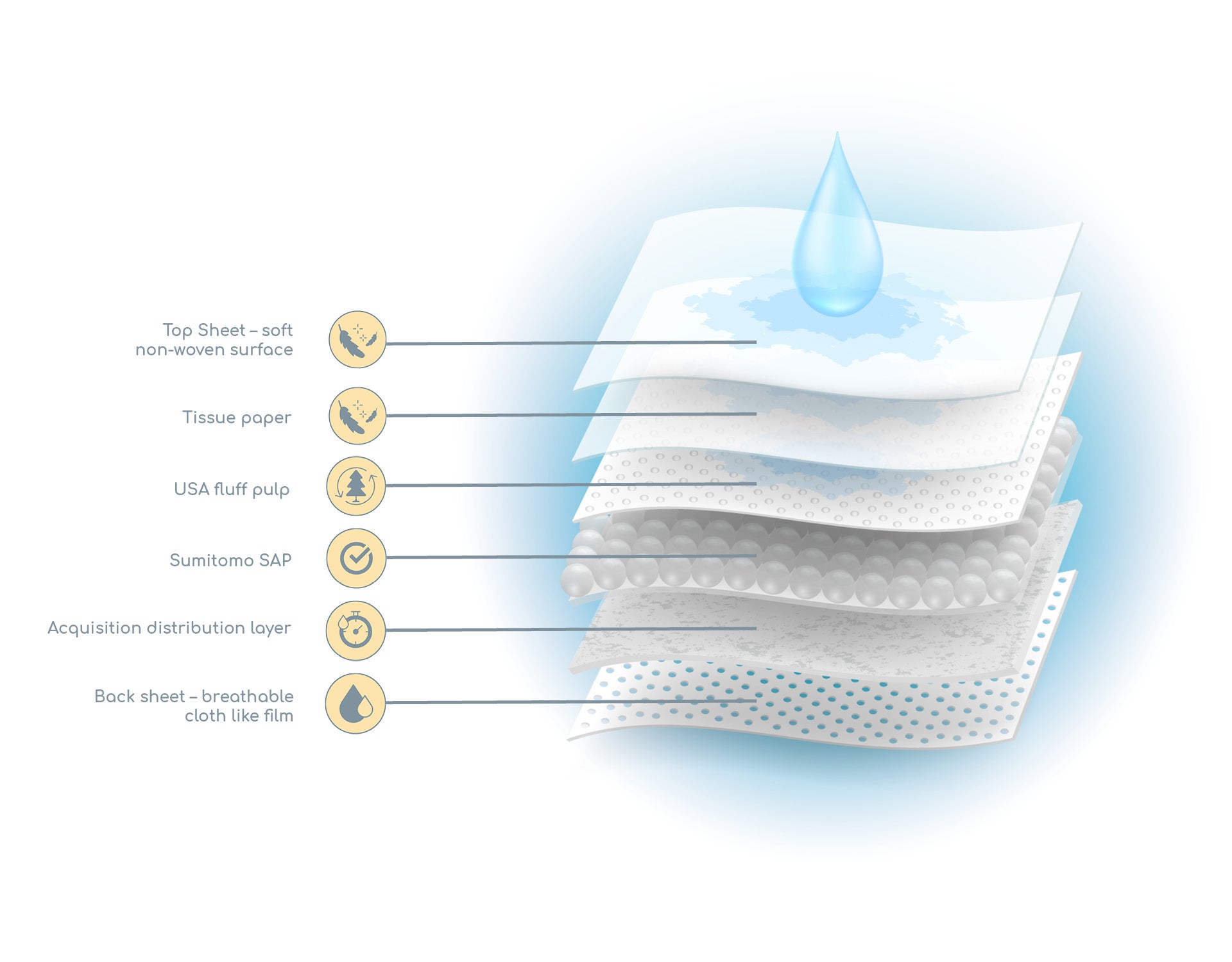 Adult Disposable Underwear