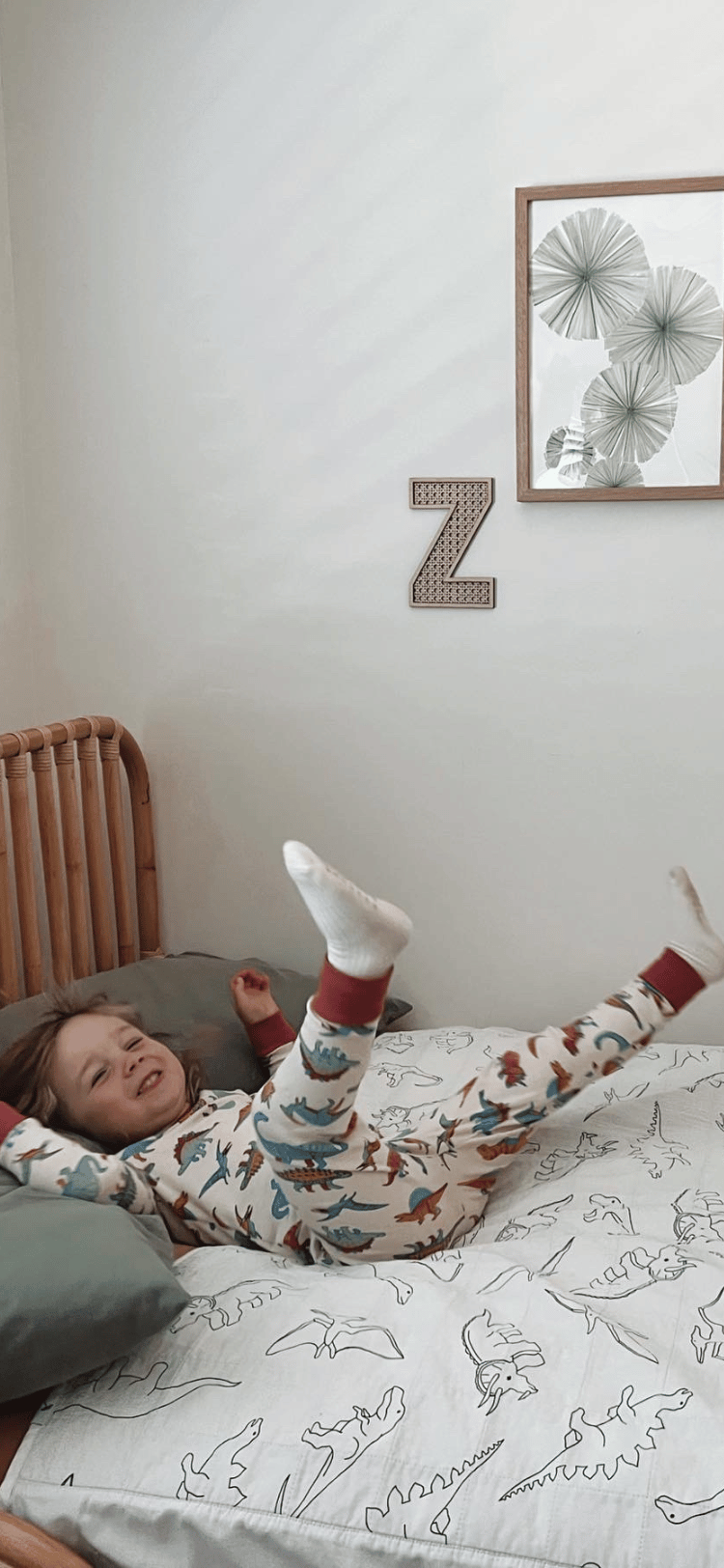 Day And Night Training Brolly Sheets AU