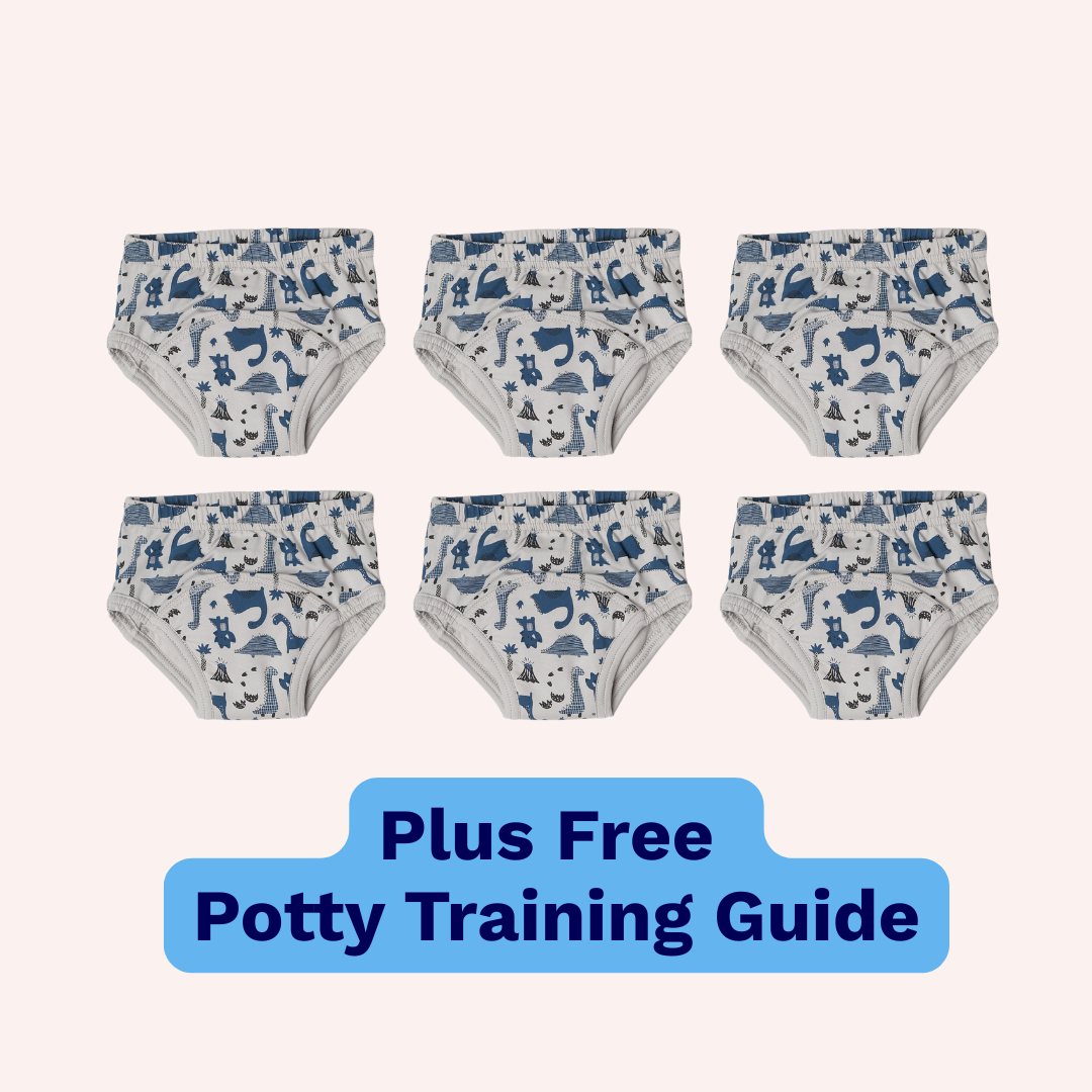 Snazzi Pants Day Trainers (6 Pack)