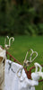 Cloth Bags on washing line with Stainless Steel pegs