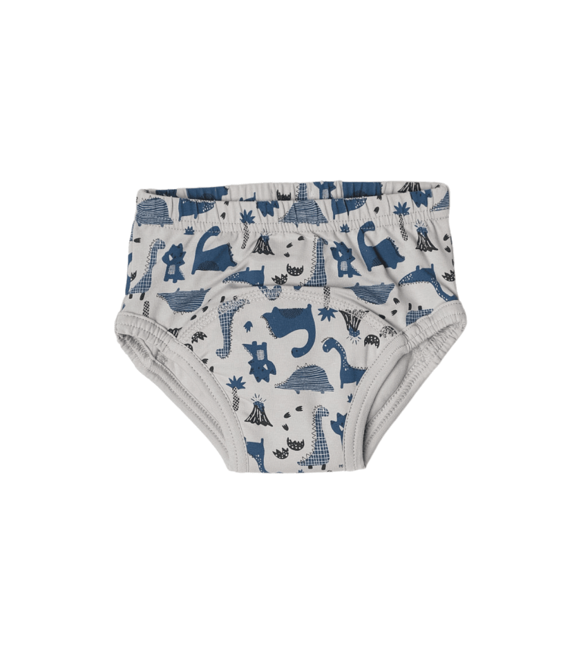 Organic Cotton Toilet Training Undies