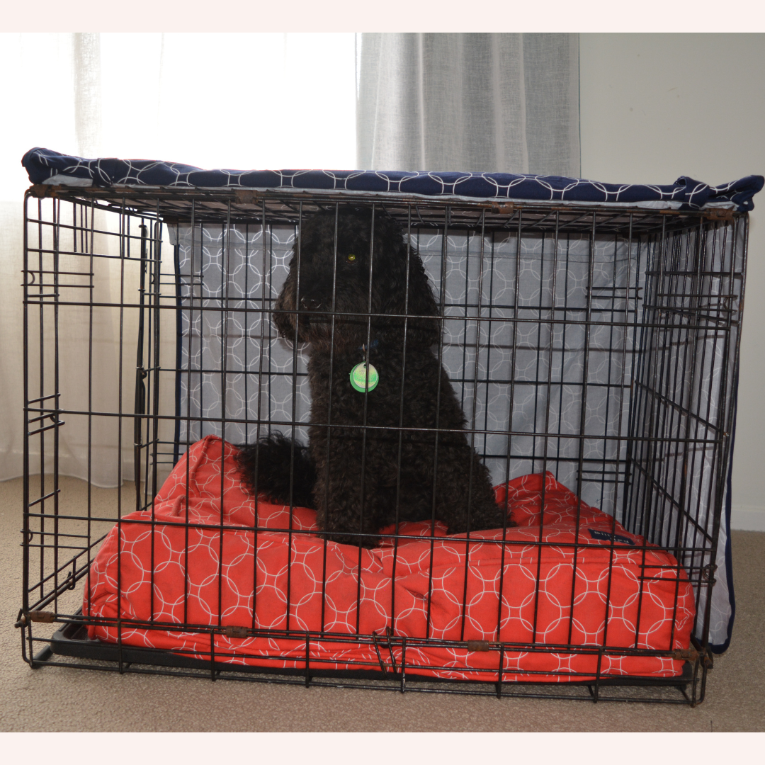 Billy Crate Cover