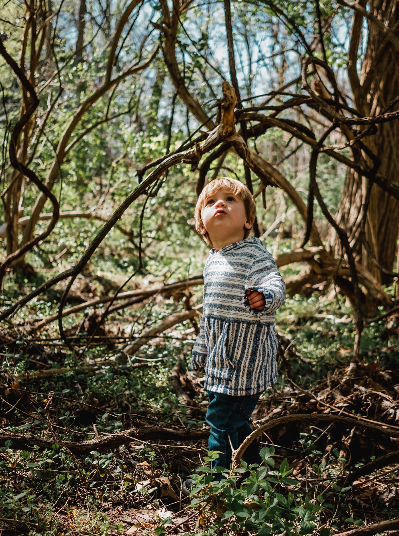 Toddler in woodland setting looking up at sky