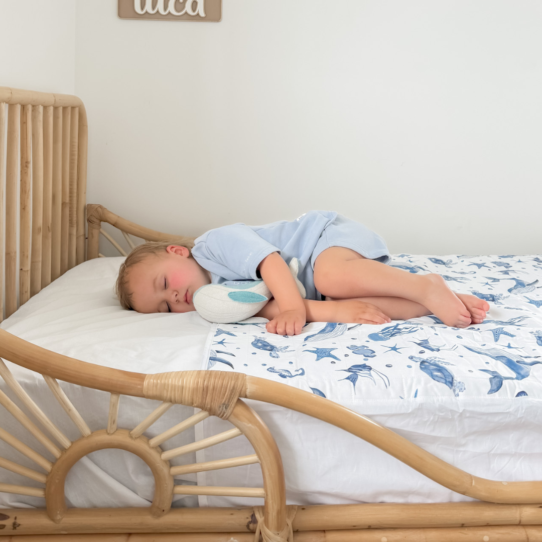 Limited edition Beach to Bed Bundle -  SAVE 30% - limited time offer