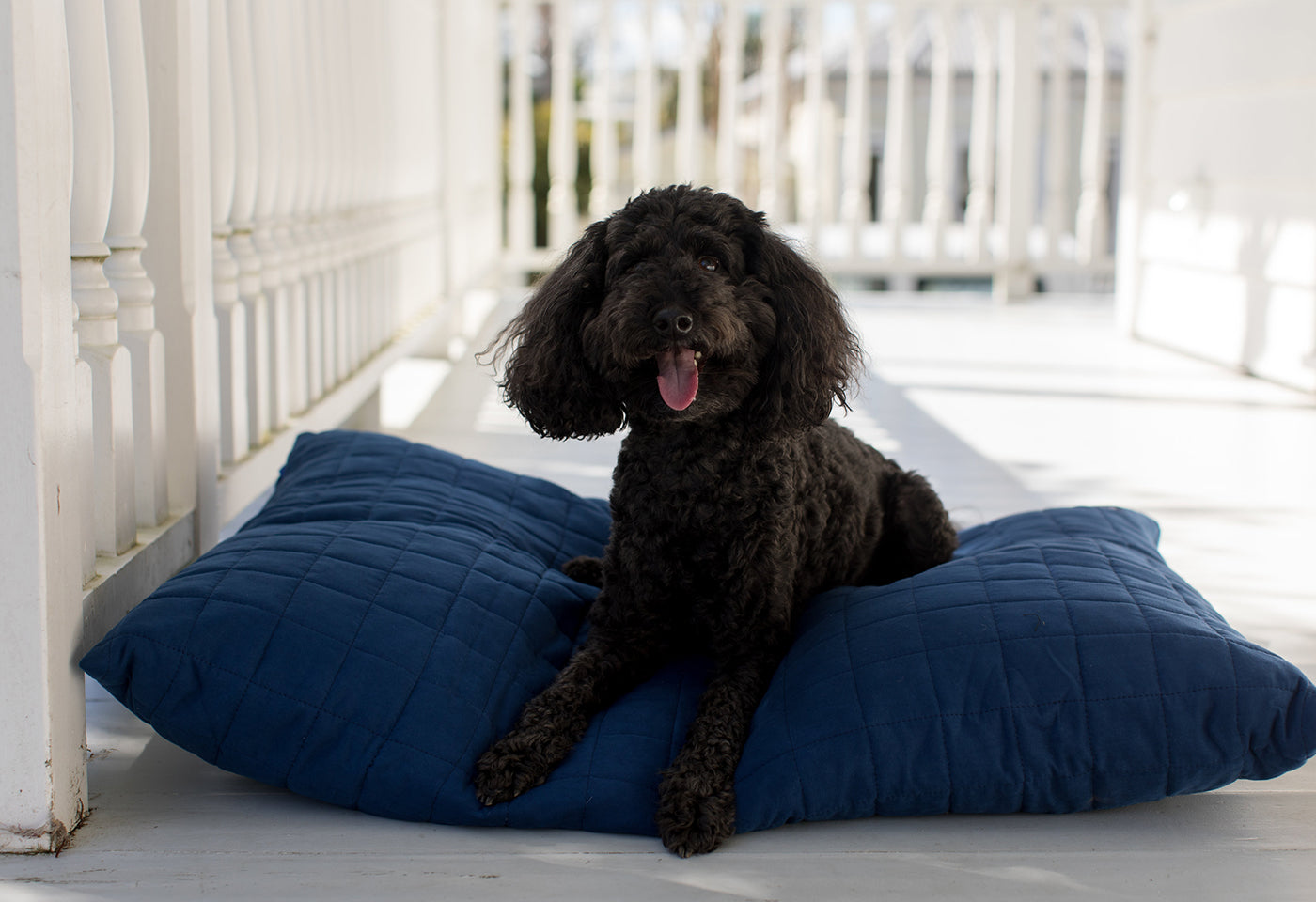 Buddy Dog Cover Faux Suede - Brolly Sheets AU