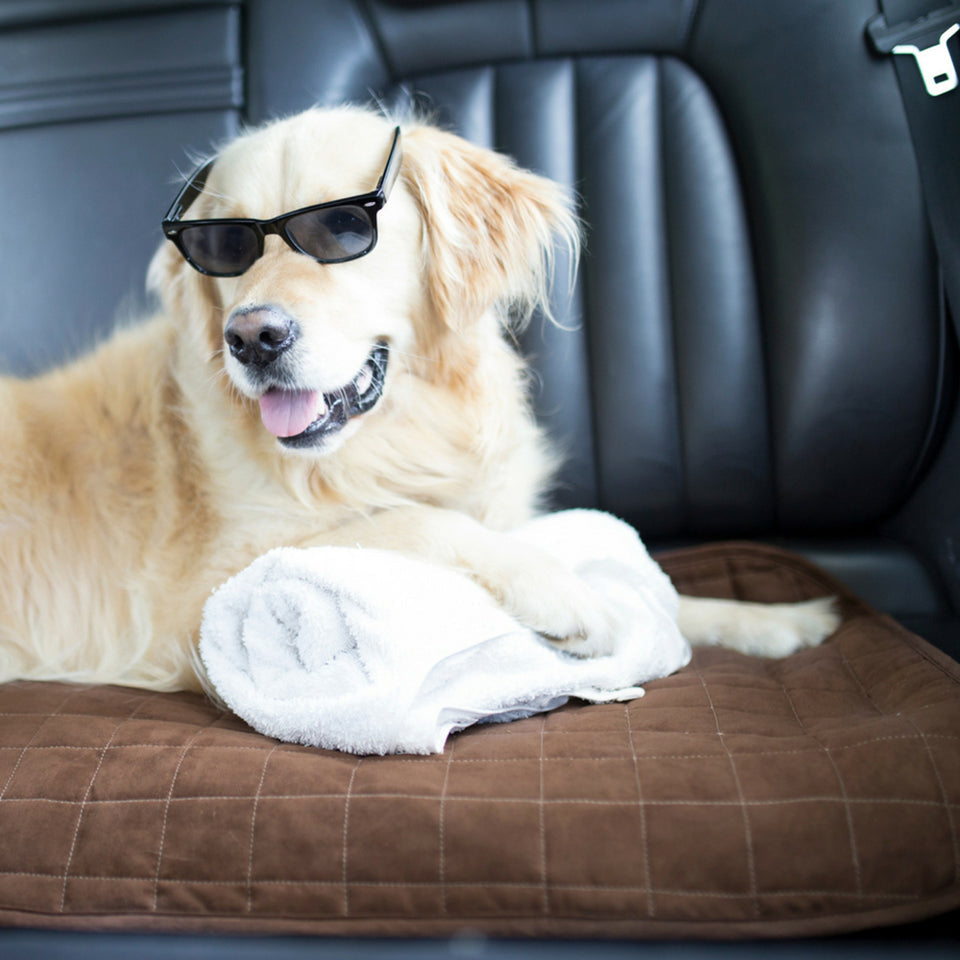 Car Seat or Couch Cover - Brolly Sheets AU