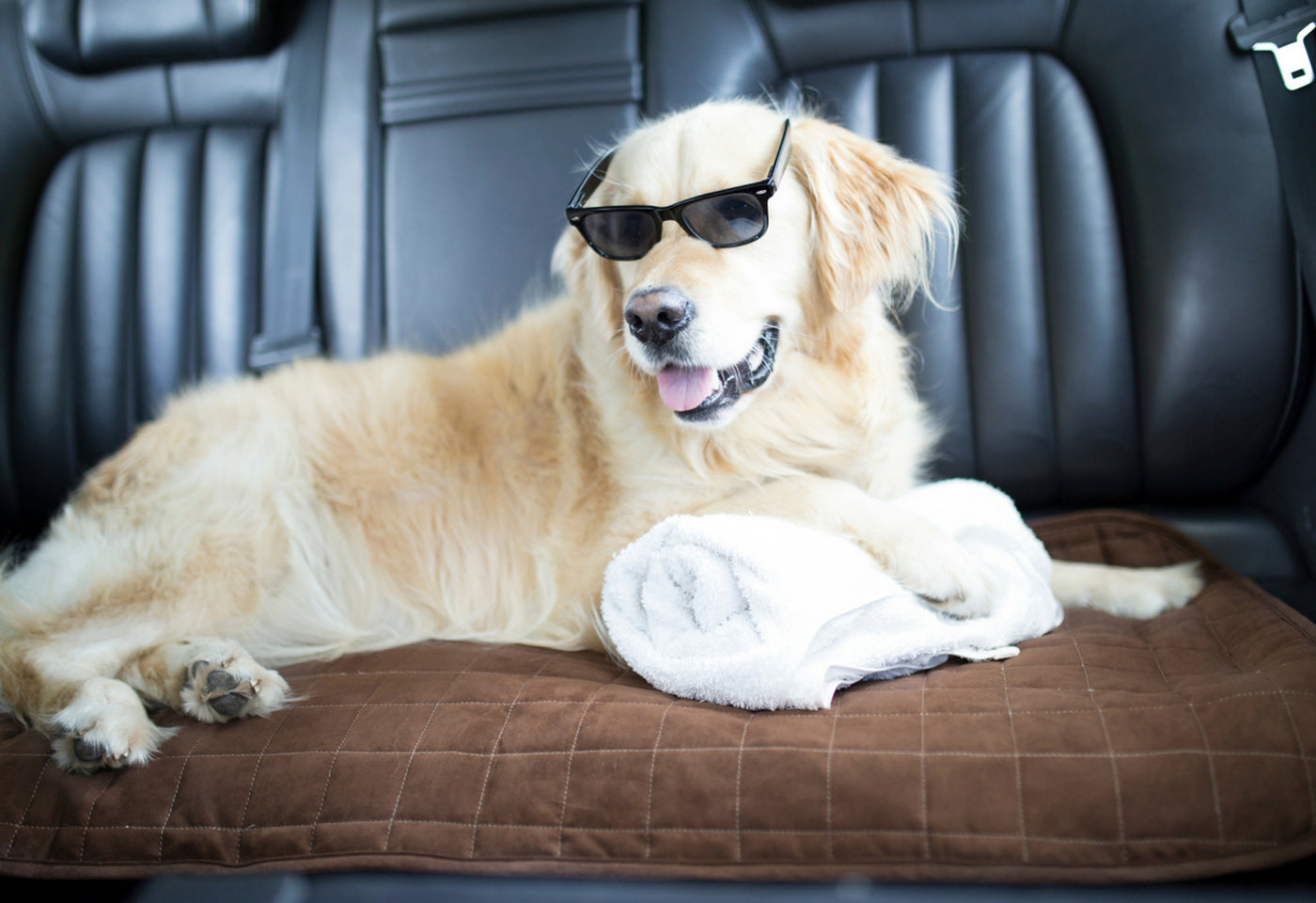 Car Seat or Couch Cover - Brolly Sheets AU