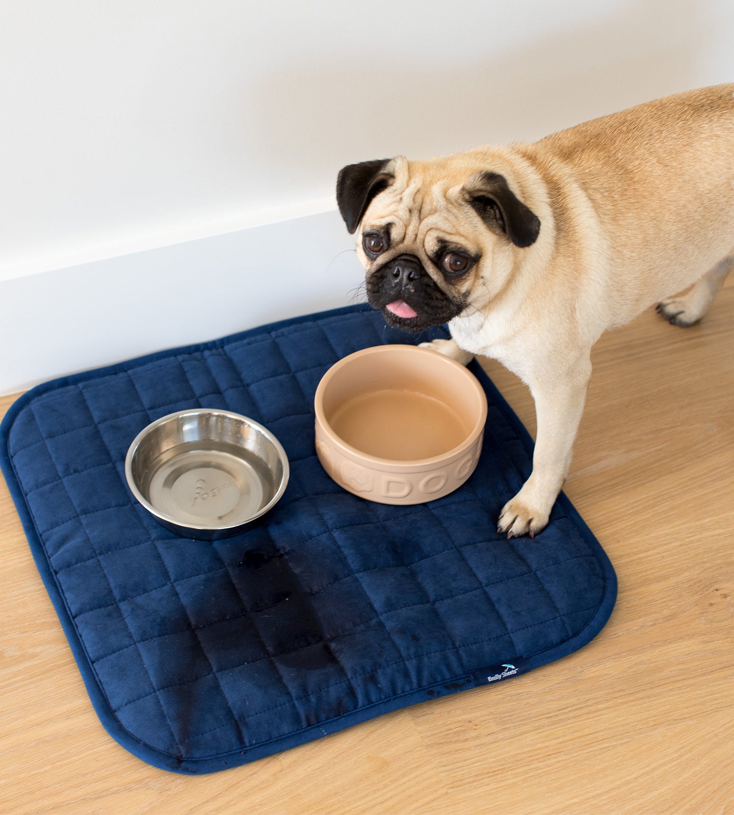 Pet Mat - Brolly Sheets AU - Navy