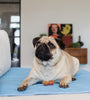 Pet Bed Pad - Brolly Sheets AU