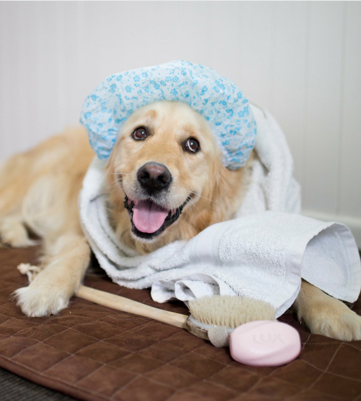 Car Seat or Couch Cover - Brolly Sheets AU